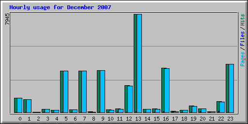 Hourly usage for December 2007